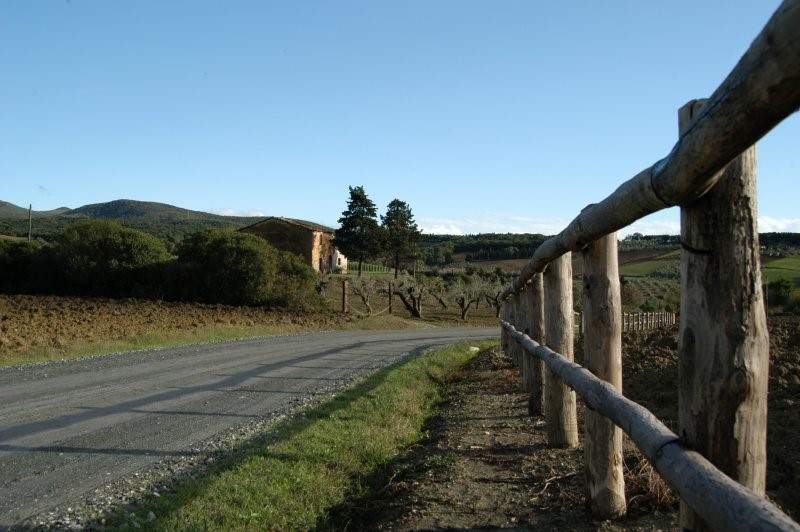 BIBBONA CAMPAGNA